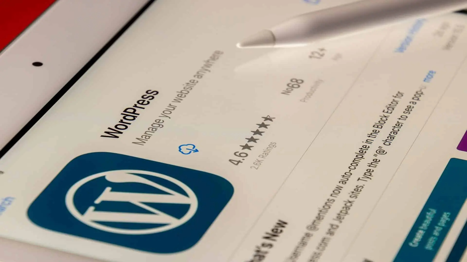 WordPress Website WordPress Website Design